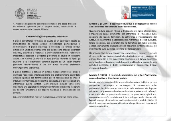 Master I Livello - Bambine e Bambini e Adolescenti Orfani/e per femminicidio: azioni di prevenzione e modelli di intervento educativo per i professionisti e professioniste dei settori educativi, sociali e socio-sanitari - immagine 3