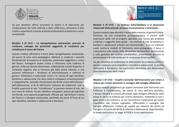 Master I Livello - Bambine e Bambini e Adolescenti Orfani/e per femminicidio: azioni di prevenzione e modelli di intervento educativo per i professionisti e professioniste dei settori educativi, sociali e socio-sanitari - immagine 4