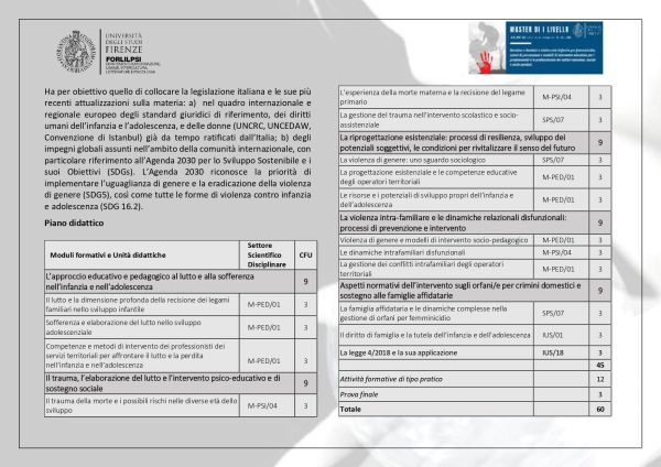 Master I Livello - Bambine e Bambini e Adolescenti Orfani/e per femminicidio: azioni di prevenzione e modelli di intervento educativo per i professionisti e professioniste dei settori educativi, sociali e socio-sanitari - immagine 5